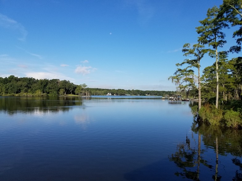 Dauphin Island Pkwy, Mobile, AL à vendre - Autre - Image 1 de 1