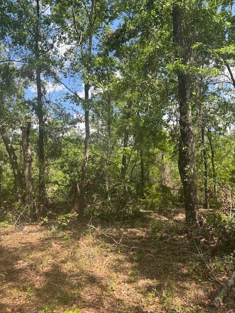 0 New Bethel Church Rd, Fitzgerald, GA à vendre Autre- Image 1 de 11