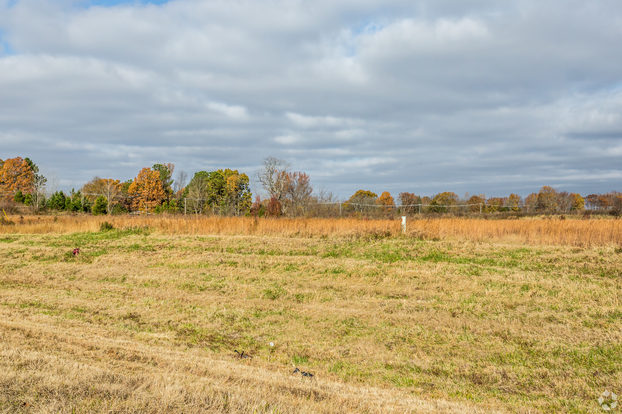 14500 Goodman Rd, Olive Branch, MS for sale Primary Photo- Image 1 of 1