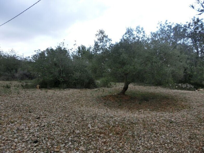 Land in Sant Carles de la Ràpita, Tarragona for sale - Other - Image 1 of 2