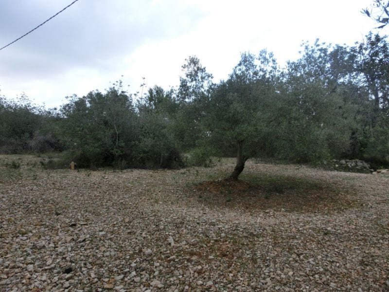 Land in Sant Carles de la Ràpita, Tarragona for sale Other- Image 1 of 3