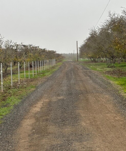14860 E Baker Rd, Linden, CA for sale - Primary Photo - Image 1 of 2