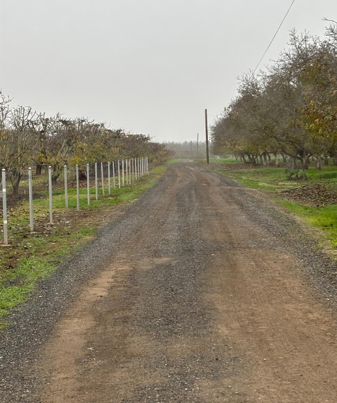 14860 E Baker Rd, Linden, CA à vendre Photo principale- Image 1 de 3