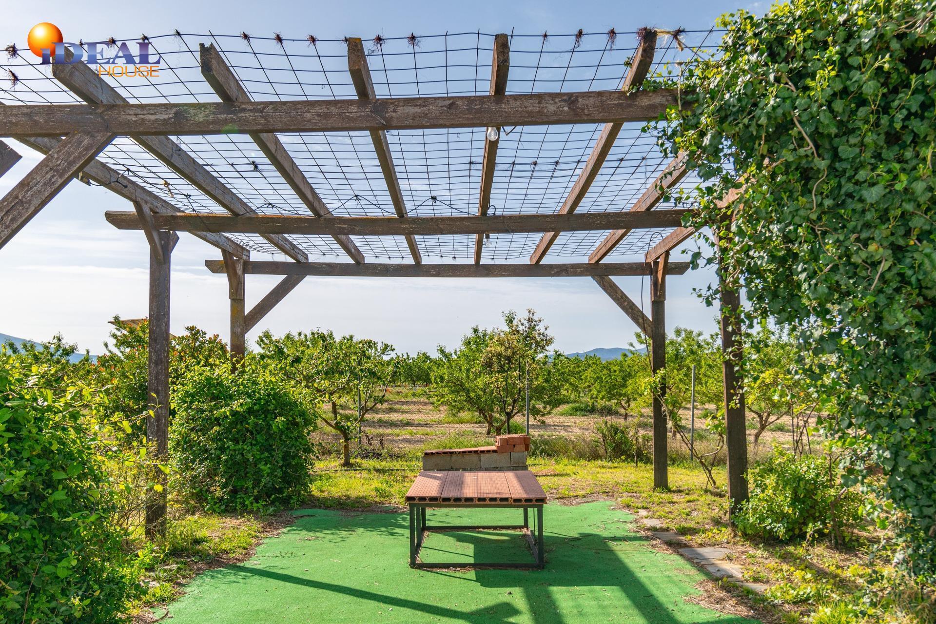 Land in Padul, Granada for sale Building Photo- Image 1 of 51
