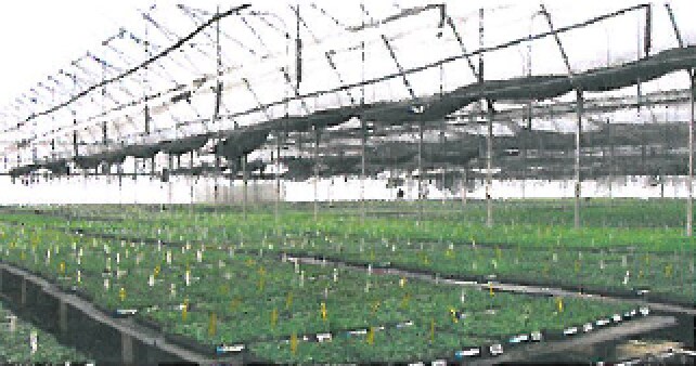 501 Osborne St, Vista, CA à vendre - Photo du bâtiment - Image 1 de 11