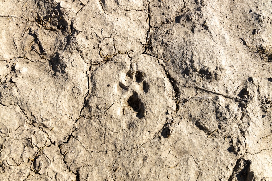 737-455 Herlong Access Rd, Doyle, CA for sale - Building Photo - Image 2 of 15