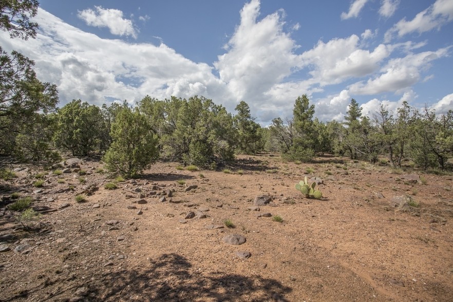 1300 W Airport Rd, Payson, AZ à vendre - Photo du bâtiment - Image 1 de 1