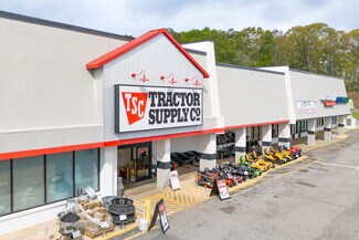 Plus de détails pour 3073-3187 Highway 431, Roanoke, AL - Commerce de détail à louer