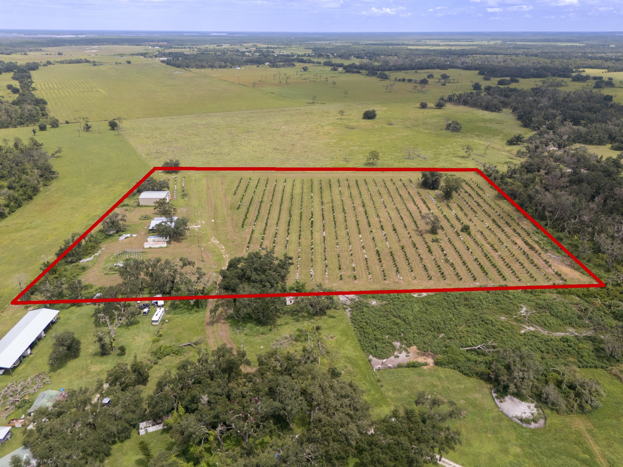 32715 Singletary Rd. rd, Myakka City, FL for sale Primary Photo- Image 1 of 31