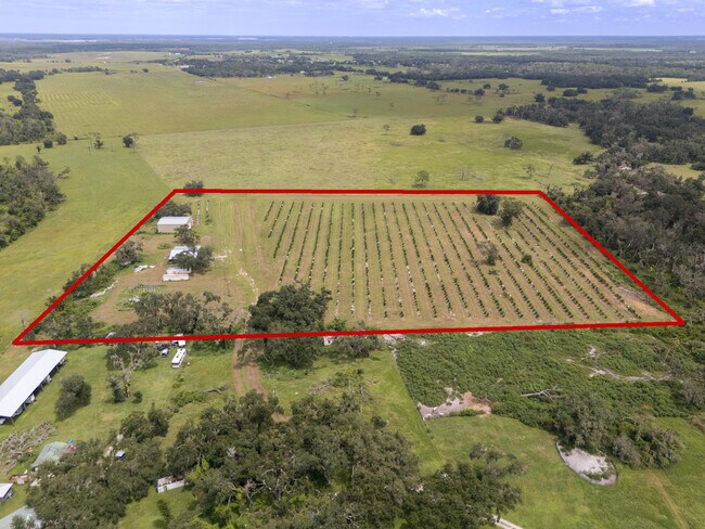 More details for 32715 Singletary Rd. rd, Myakka City, FL - Land for Sale