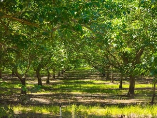 More details for 24608 Yosemite, Waterford, CA - Land for Sale