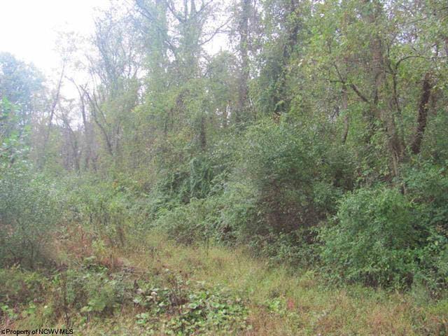 Rosedale Hill, Morgantown, WV à vendre - Autre - Image 3 de 10