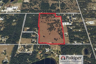 Plus de détails pour Sadler Rd, Mount Dora, FL - Terrain à vendre