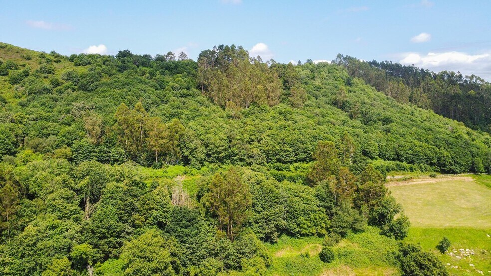 las Cuestas, Oviedo, Asturias à vendre - Aérien - Image 2 de 31