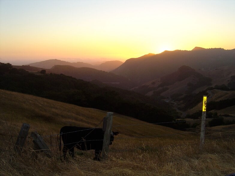 9805 Santa Rosa Creek Rd, Templeton, CA à vendre - Photo du bâtiment - Image 3 de 7