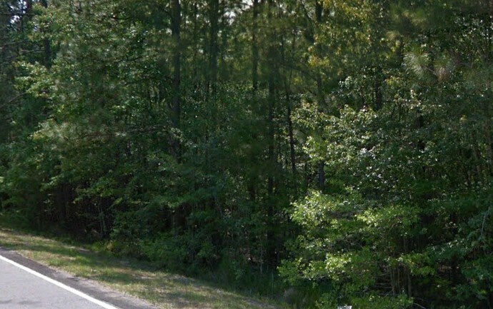 161 Paso Fino Ln, Bloomingdale, GA for sale - Building Photo - Image 2 of 2