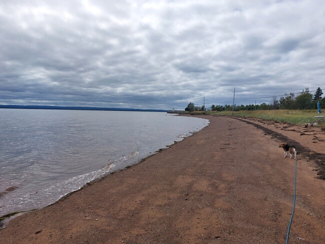 More details for 3883 Malagash Road, Wallace Grant, NS - Land for Sale