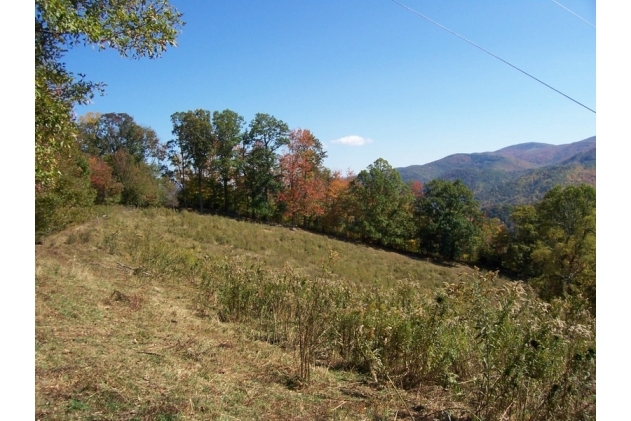 1314 Russ Norris Rd, Elk Park, NC for sale Primary Photo- Image 1 of 1