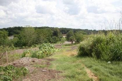 5590 N Pine Hills Rd, Orlando, FL à vendre - Photo principale - Image 2 de 3