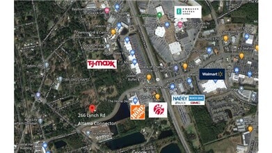 266 Lynch Rd, Brunswick, GA - AERIAL  map view