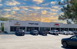 Plus de détails pour 524 E Washington St, Chagrin Falls, OH - Commerce de détail à vendre