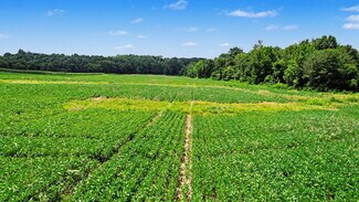 Plus de détails pour 0 Coffman Rd, Borden, IN - Terrain à vendre