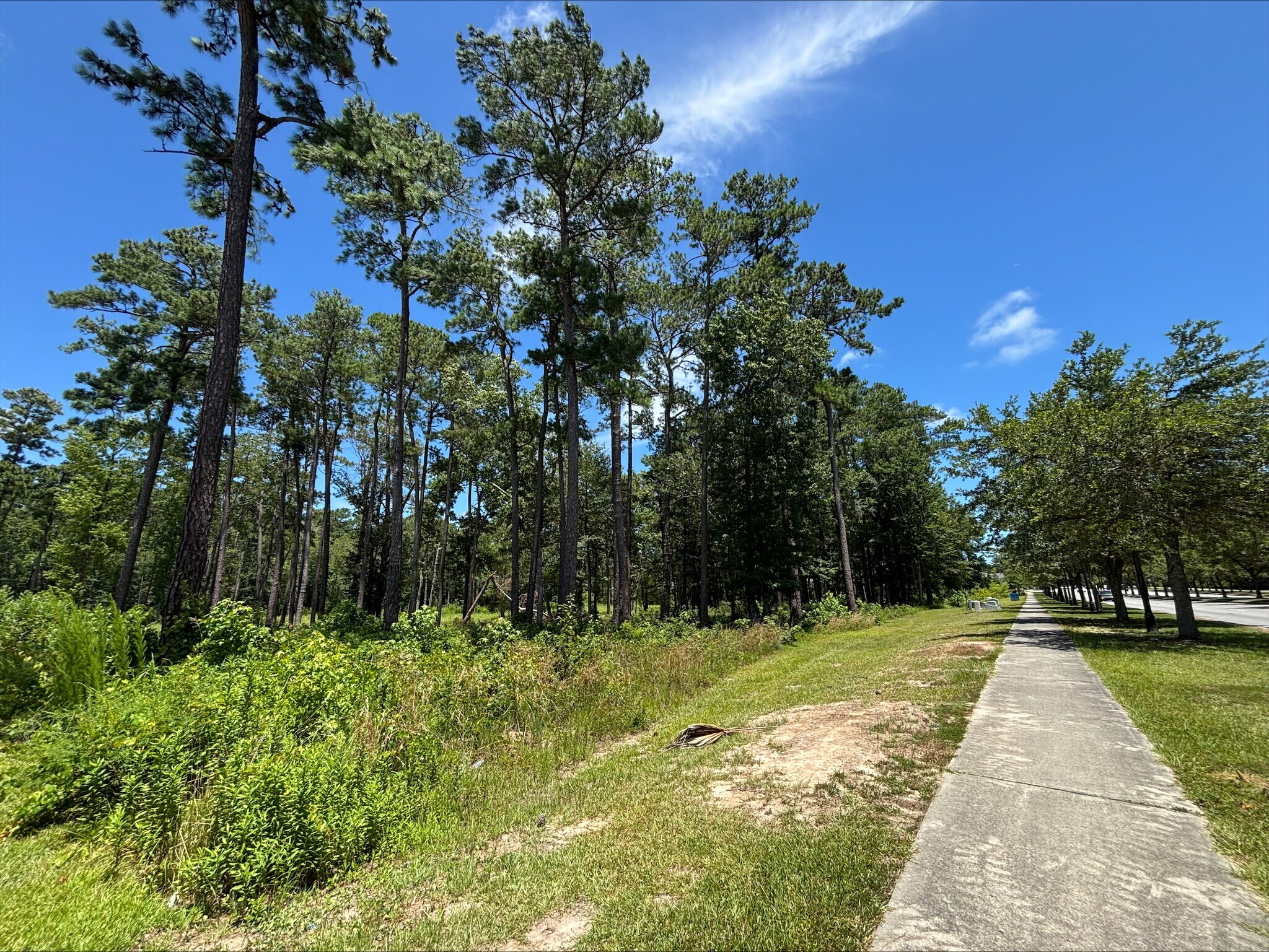 2749 Agnes Ln, Myrtle Beach, SC à vendre Plan de site- Image 1 de 4
