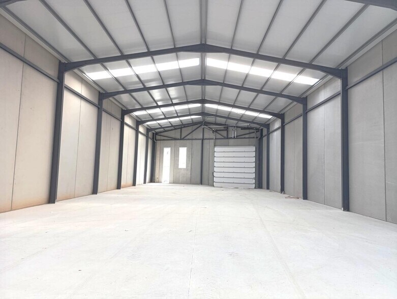 Industrial in Molina de Segura for lease - Interior Photo - Image 3 of 12