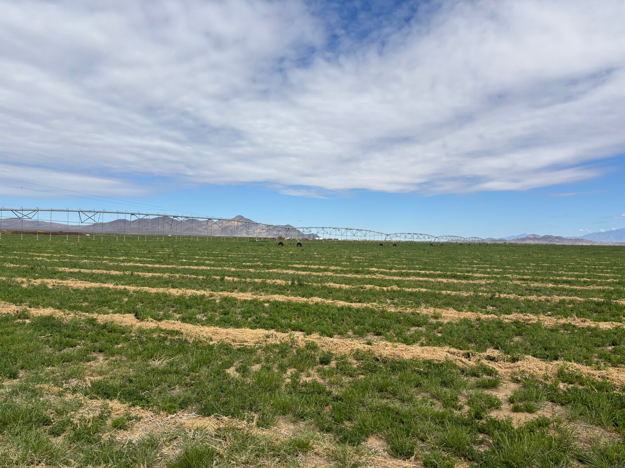 89370 Two Hawk Rd, Baker, CA for sale Other- Image 1 of 5