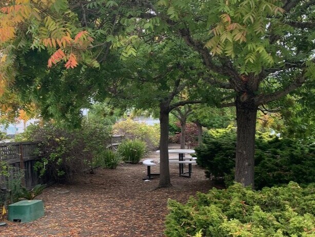 600 Frederick St, Santa Cruz, CA à vendre - Photo du bâtiment - Image 2 de 3