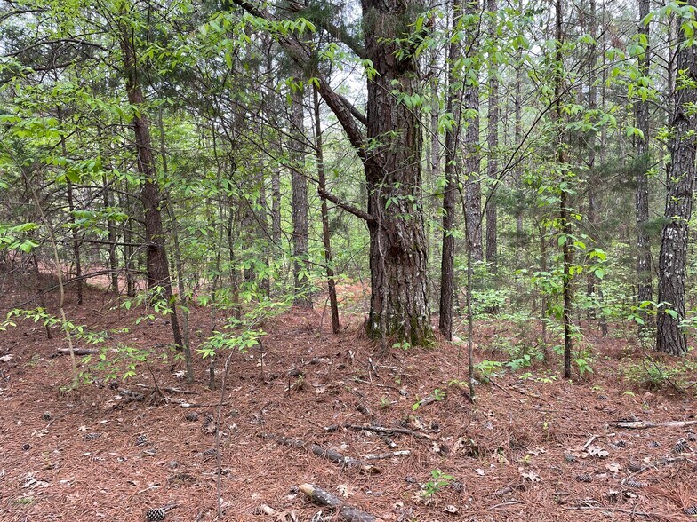 Cedar Ridge Dr, Decatur, AL for sale - Building Photo - Image 2 of 8