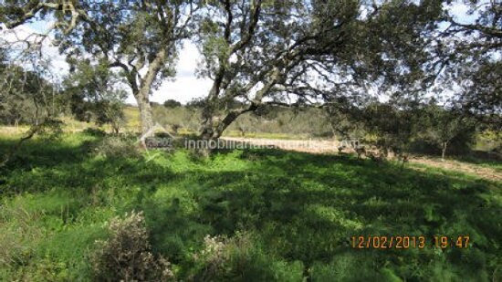 Terrain dans Cáceres, Cáceres à vendre - Photo principale - Image 3 de 11