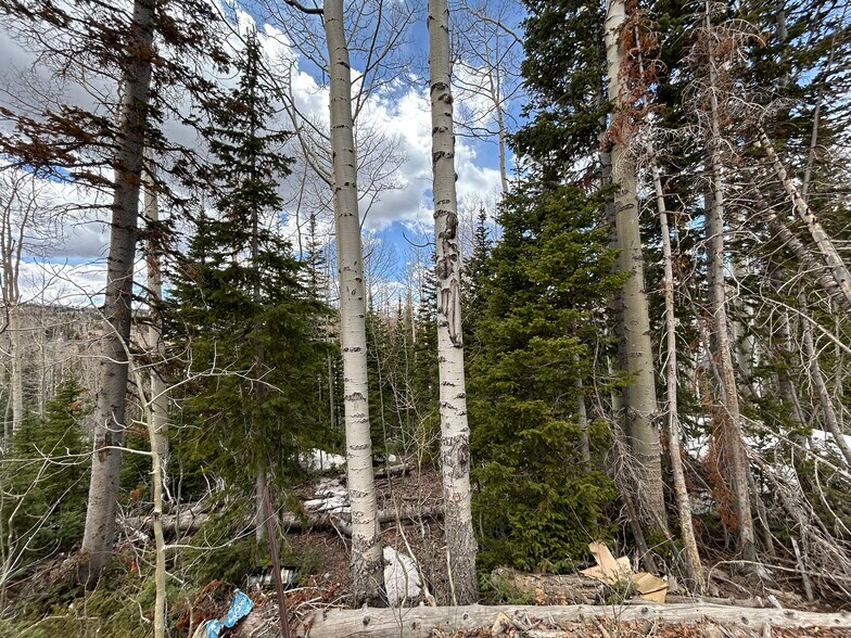 380 Forest Dr, Brian Head, UT for sale - Building Photo - Image 2 of 9