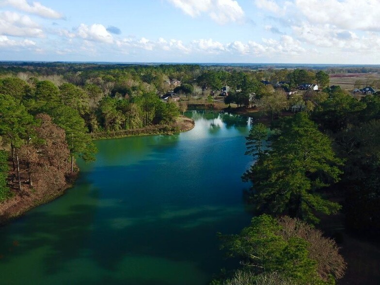 US-431 N, Headland, AL for sale - Primary Photo - Image 1 of 1