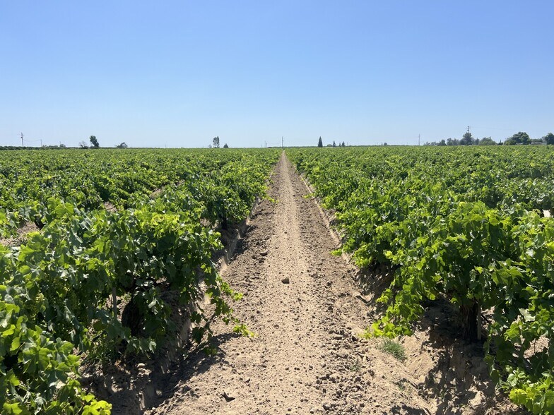 S. of Locan & Conejo Intersection, Kingsburg, CA for sale - Primary Photo - Image 1 of 5