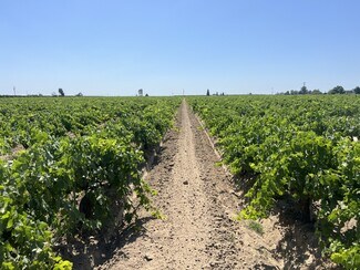 More details for S. of Locan & Conejo Intersection, Kingsburg, CA - Land for Sale