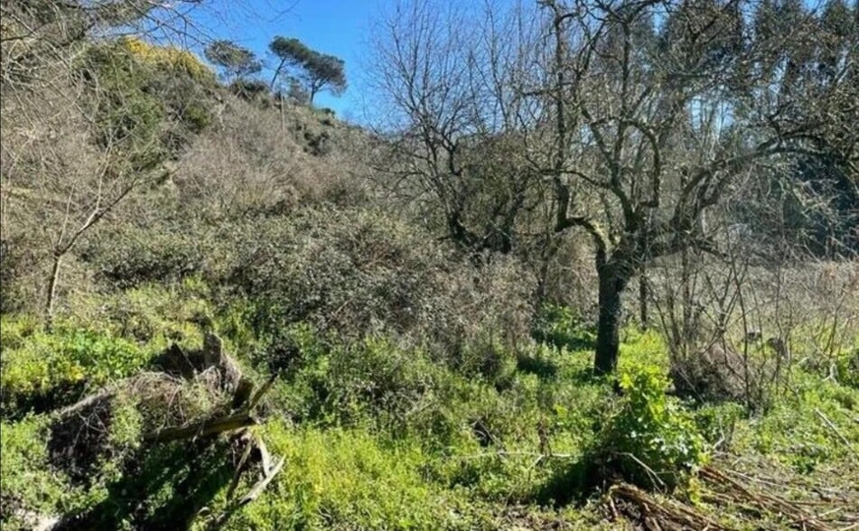 Camiño Franciscanos, Ourense, Orense for sale - Building Photo - Image 1 of 7