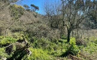 More details for Camiño Franciscanos, Ourense - Land for Sale