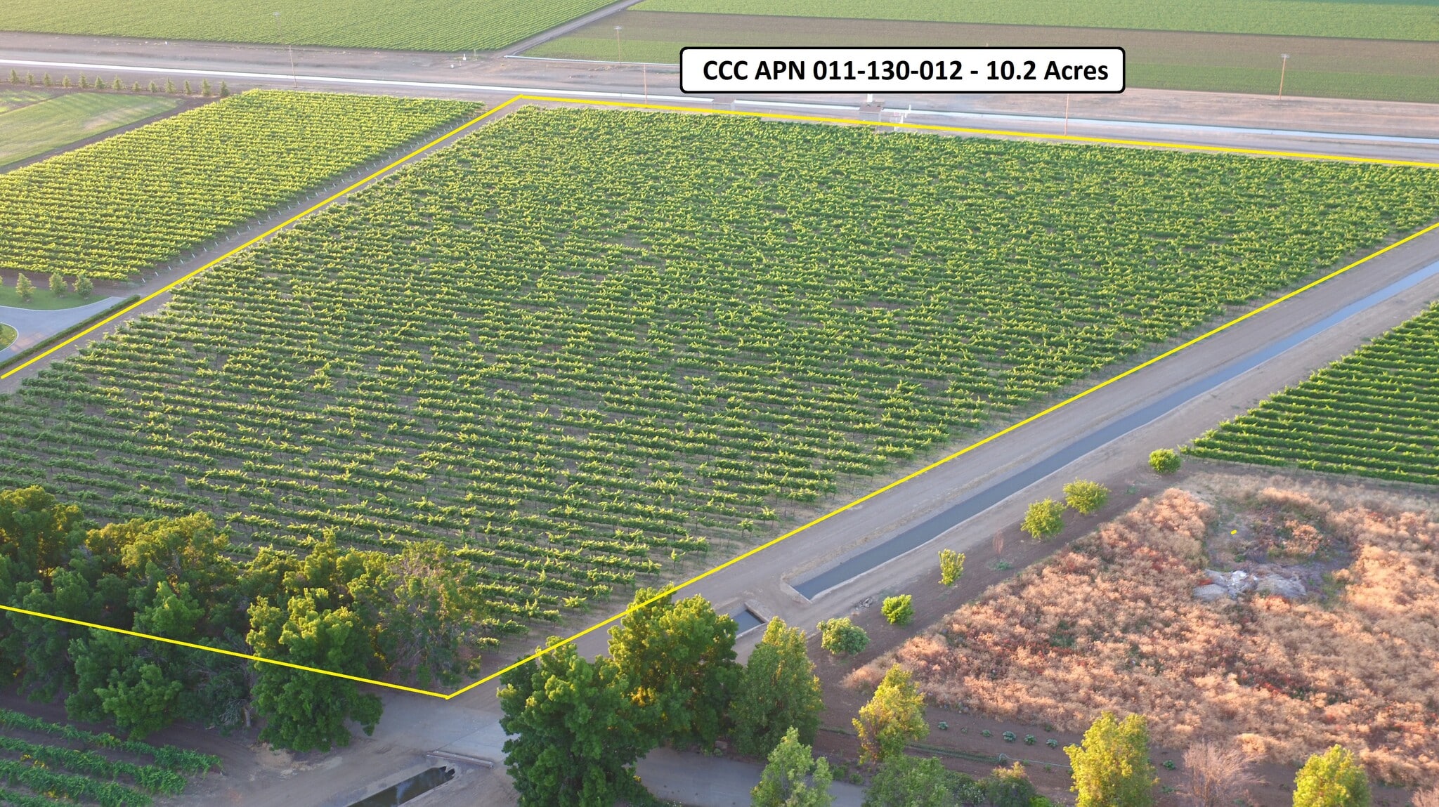 11650 Byron hwy, Brentwood, CA for sale Primary Photo- Image 1 of 2