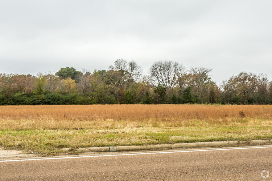 Hacks Cross Rd, Olive Branch, MS à vendre - Photo principale - Image 1 de 1