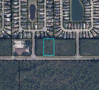 Plus de détails pour County Road 220, Middleburg, FL - Terrain à vendre
