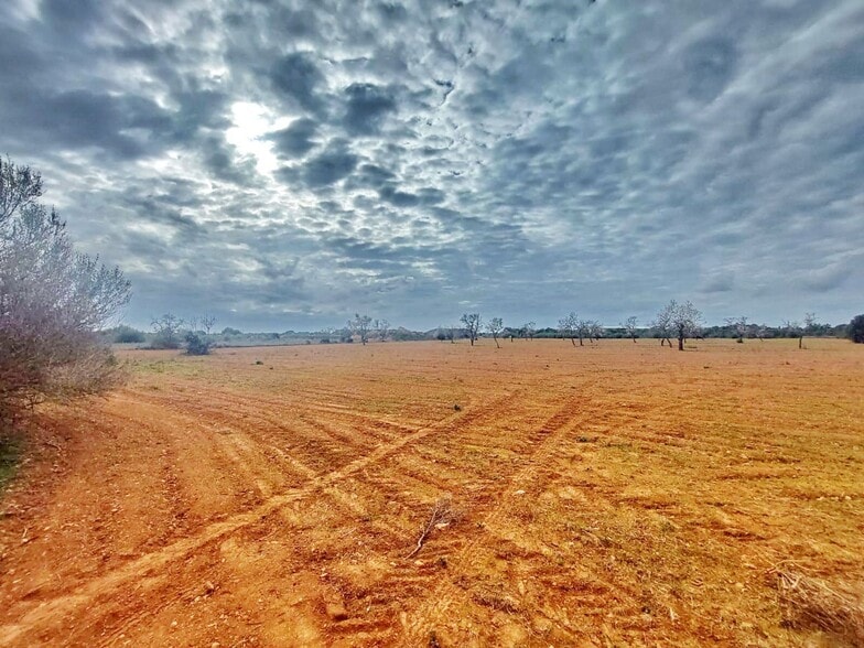 Land in Campos, Islas Baleares for sale - Aerial - Image 1 of 6