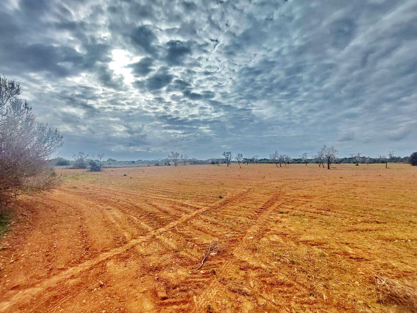 Land in Campos, Islas Baleares for sale Aerial- Image 1 of 7