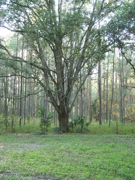 Powell Rd, Brooksville, FL for sale - Other - Image 3 of 8