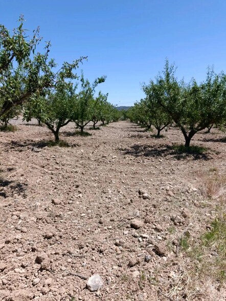 Land in Cehegín, Murcia for sale - Building Photo - Image 3 of 12