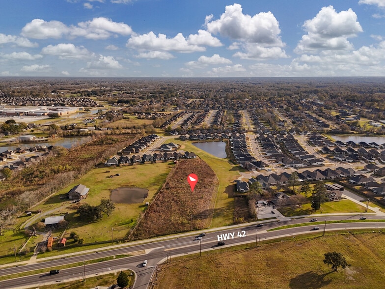 39392 Ironwood Ave, Prairieville, LA for sale - Aerial - Image 3 of 7