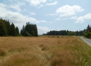 3811 188th St NE, Arlington, WA for sale - Primary Photo - Image 2 of 7