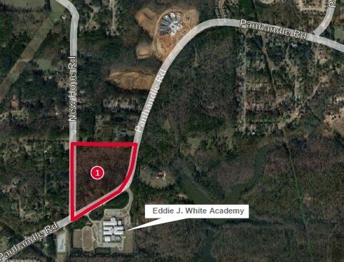 Panhandle & New Hope Rd, Hampton, GA à vendre Photo du bâtiment- Image 1 de 3