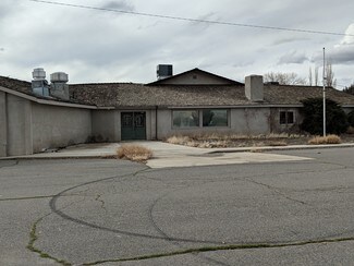 Plus de détails pour 111 Highway 208, Yerington, NV - Commerce de détail à vendre