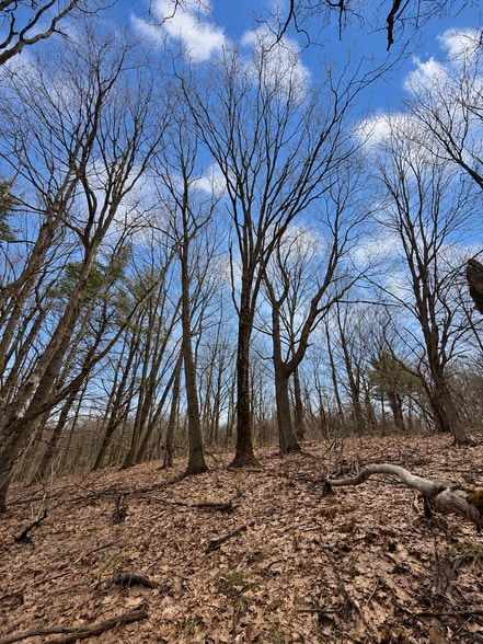 00 Route 92, Cazenovia, NY for sale - Building Photo - Image 3 of 3